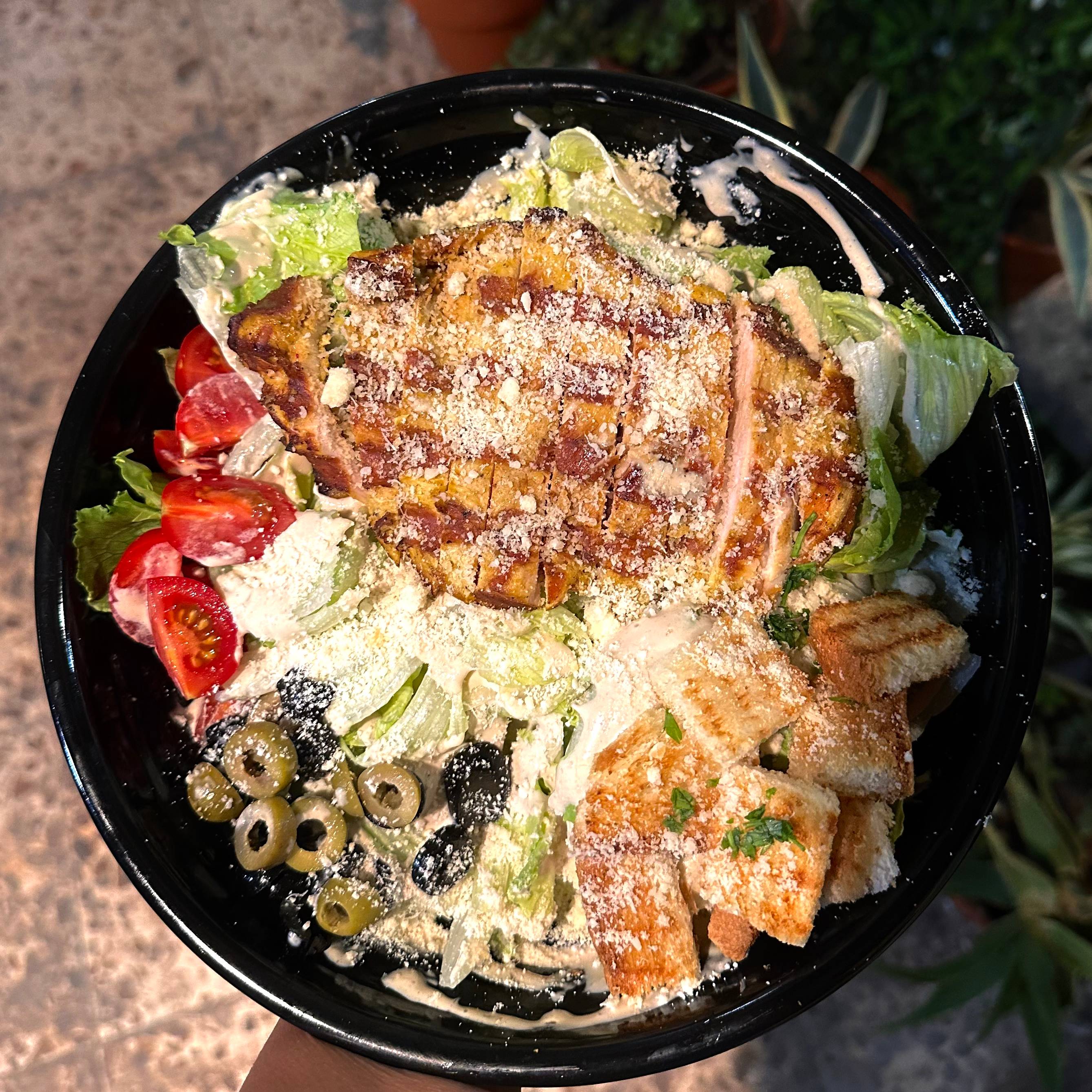 سالاد سزار با مرغ گریل